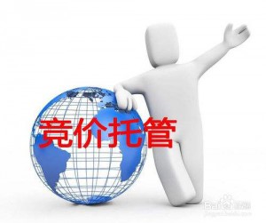 厚昌竞价托管
