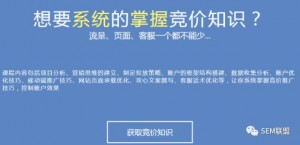 竞价托管-引导咨询