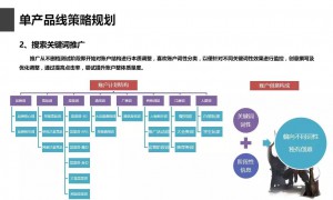 竞价托管-单产品线策略规划