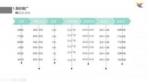 竞价托管-投放策略详情