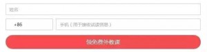 厚昌竞价托管提供表单二配图