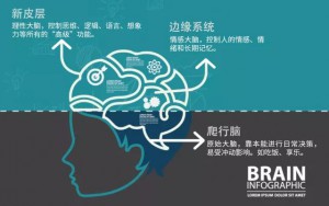 如何写出让用户“触电”的创意？