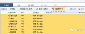 厚昌竞价托管提供设置追踪URL