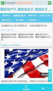 厚昌竞价托管提供赴美生子反面案例配图